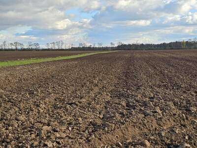 Gewerbeobjekt kaufen in 2221 Großschweinbarth