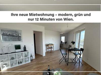 Public Housing mieten in 2326 Niederösterreich