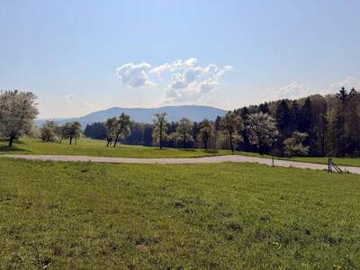 Grundstück kaufen in 4400 Saaß