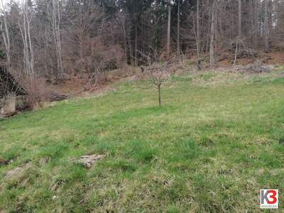 Grundstück kaufen in 9220 Velden