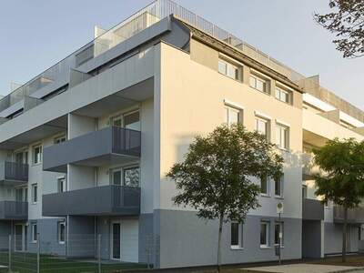 Wohnung mieten in 2700 Wiener Neustadt