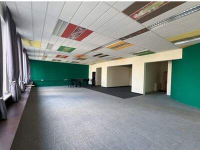 Gewerbeobjekt mieten in 1230 Wien (Bild 5)