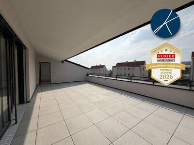 Terrassenwohnung kaufen in 3500 Krems (Bild 4)