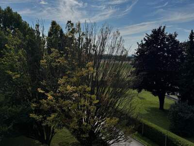 Etagenwohnung kaufen in 4060 Leonding