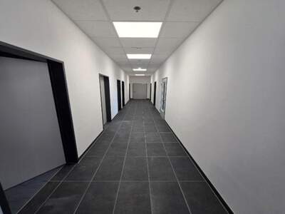 Gewerbeobjekt mieten in 2431 Enzersdorf (Bild 4)