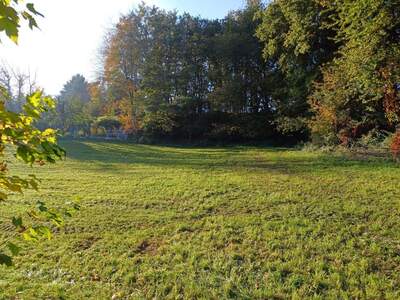 Grundstück kaufen in 4941 Mehrnbach (Bild 4)