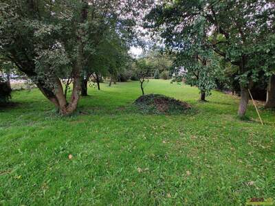 Grundstück kaufen in 8820 Neumarkt