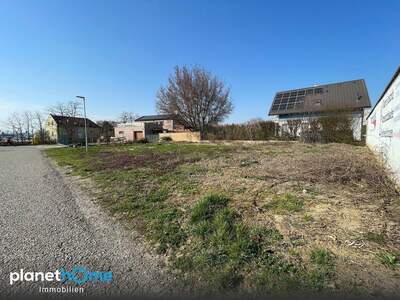 Grundstück kaufen in 7100 Neusiedl (Bild 4)