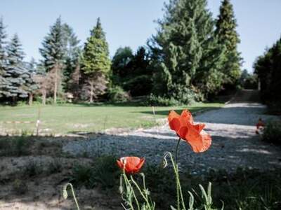 Grundstück kaufen in 3013 Tullnerbach