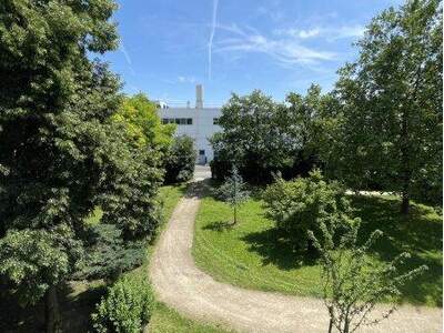 Terrassenwohnung mieten in 4030 Linz (Bild 5)
