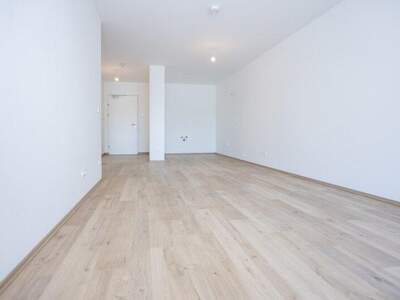 Terrassenwohnung kaufen in 2700 Wr. Neustadt (Bild 5)