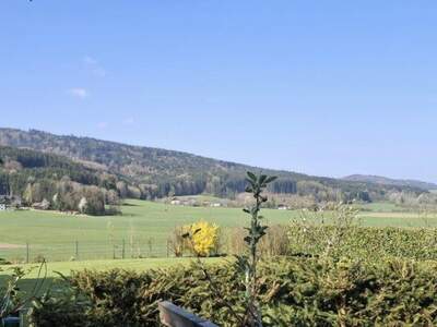 Grundstück kaufen in 4880 Berg