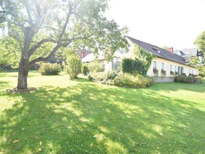 Haus kaufen in 2392 Sulz