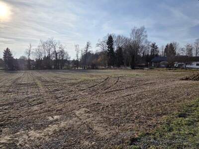 Grundstück kaufen in 8483 Deutsch Goritz (Bild 1)