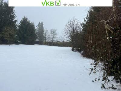 Grundstück kaufen in 4211 Spattendorf (Bild 2)