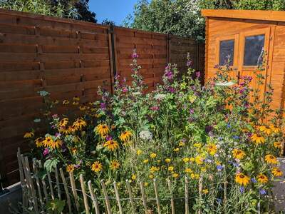 Haus mit Garten kaufen in 2211 Pillichsdorf (Bild 3)