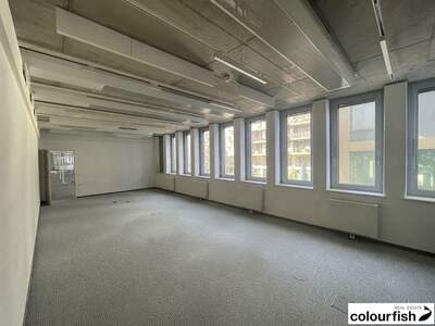 Gewerbeobjekt mieten in 1030 Wien (Bild 4)