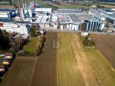 Gewerbeobjekt kaufen in 3300 Amstetten (Bild 2)