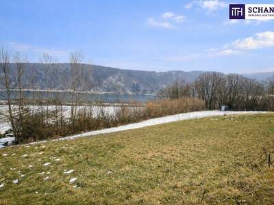 Grundstück kaufen in 3681 Hofamt Priel (Bild 2)