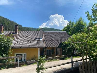 Altbauwohnung mieten in 3161 Wiesenbach (Bild 4)