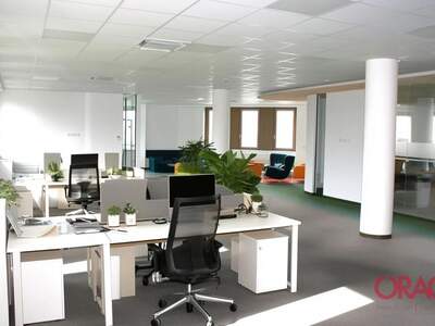 Gewerbeobjekt mieten in 1210 Wien