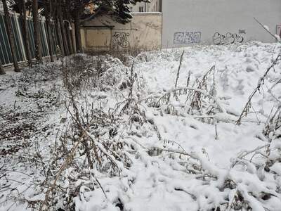 Grundstück kaufen in 1100 Wien