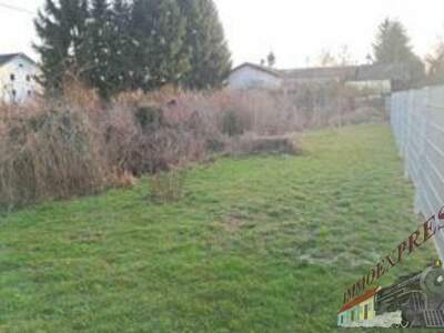 Grundstück kaufen in 4702 Wallern (Bild 3)