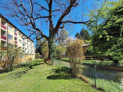 Wohnung kaufen in 5020 Salzburg