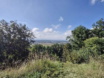 Grundstück kaufen in 4101 Feldkirchen (Bild 1)