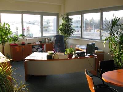 Gewerbeobjekt kaufen in 5073 Wals (Bild 2)