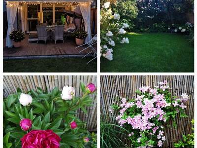 Apartment provisionsfrei kaufen in 5020 Salzburg