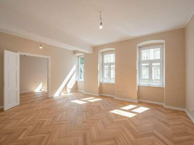 Altbauwohnung kaufen in 1080 Wien (Bild 1)