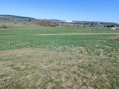 Grundstück kaufen in 4851 Gampern