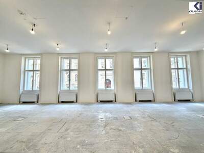 Gewerbeobjekt mieten in 1010 Wien