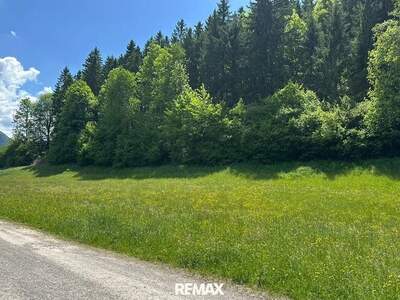 Grundstück kaufen in 8931 Landl