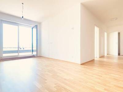 Anlageobjekt mieten in 3500 Krems