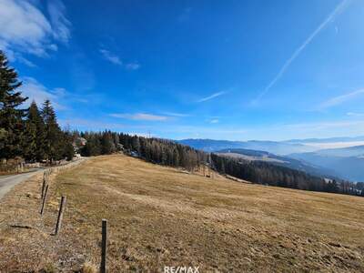 Grundstück kaufen in 8742 Sankt Anna (Bild 4)