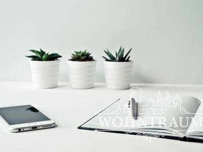 Gewerbeobjekt mieten in 8051 Graz (Bild 1)