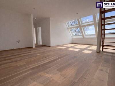 Terrassenwohnung kaufen in 2514 Traiskirchen (Bild 2)