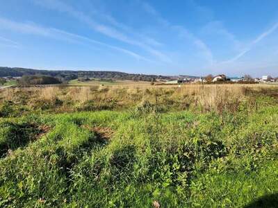 Grundstück kaufen in 8271 Bad Waltersdorf