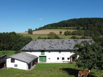 Haus kaufen in 4242 Hirschbach