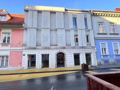 Gewerbeobjekt mieten in 8010 Graz (Bild 2)