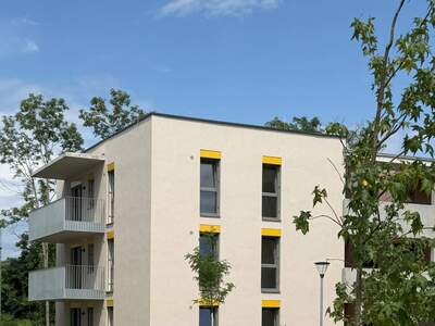 Terrassenwohnung mieten in 2700 Wr. Neustadt (Bild 3)