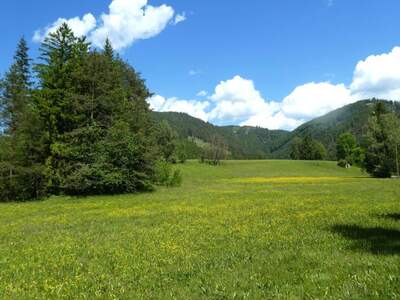 Grundstück kaufen in 2663 Rohr