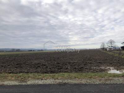 Grundstück kaufen in 8382 Weichselbaum