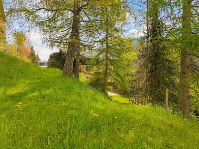 Grundstück kaufen in 9546 Bad Kleinkirchheim