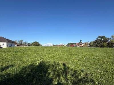 Grundstück kaufen in 4323 Münzbach