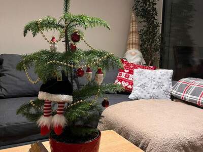 Terrassenwohnung mieten in 1220 Wien (Bild 4)