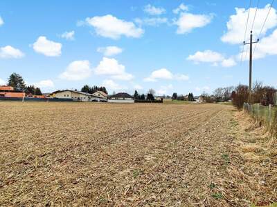 Grundstück mieten in 4975 Suben (Bild 3)