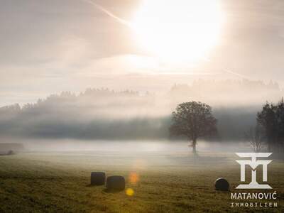 Gewerbeobjekt kaufen in 9062 Tigring (Bild 2)